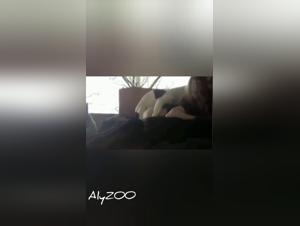 Brutal sex video, suck and kiss the dog, animal enjoyment