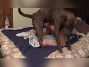 Love Potion K9: A Vixen unable to resist raw canine domination