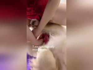 Bestial Seduction: Hardcore Scene of Asian Zoophilia