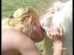 Bestiality and extreme: a unique video