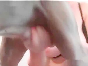 Sex Video with Exotic Dog