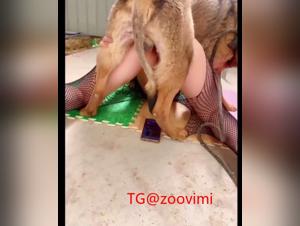 Dog licking the Chinese girl