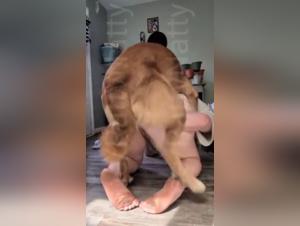 Part One of a Dark Saga: Canine Domination and Desired Submission