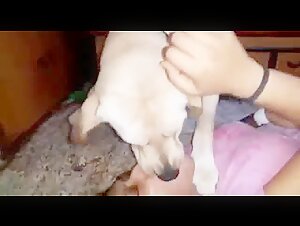 Bestiality sex video with Indian woman and her dog