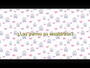 Discover the art of bestiality with our guide to sex with dogs