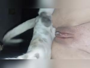 The border between human and animal fades in burning flesh