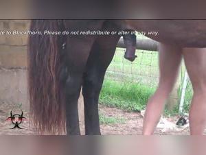 Animal ardor and perverted pleasure: discover the abyss