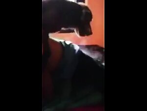 ArtofZoo: Amateur and extreme bestiality videos