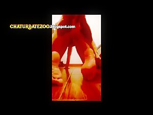 Part 1: A Unique Experience of Bestiality and Sex with Animals
