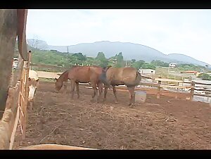 Intense bestiality scene with a woman and a horse
