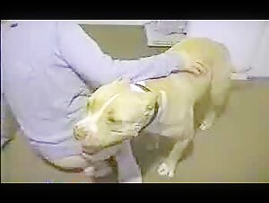 Watch this Hot Milf in a Dog Sex Video