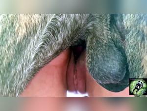 An intense fuck between Triana and her dog
