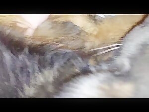 Intense and shocking moments in this bestiality video