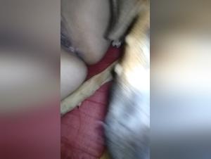 Canine Debauchery and Female Pleasure