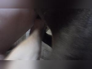 Slave to the Rhythm of the Horse: Explore the Extreme