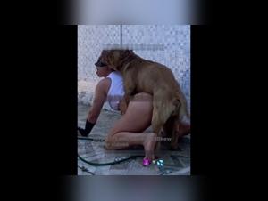 The animal abyss: where human desire meets raw drive