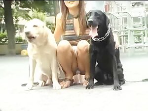 Watch Bestiality Videos with Dogs