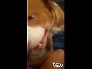 Todlicher Schlag fur die Schlampe und ihren Hund
