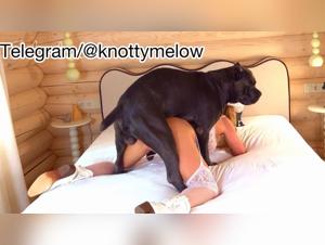 Wild Zoophilia: Teen offers her pleasure to the dog