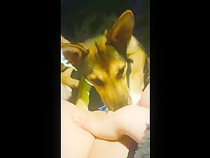 Harte Sexszene mit Hund: Eine Frau erfreut sich an einem Vierbeiner