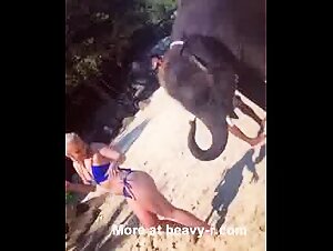 Ass Exploited by Wild Animals: An Unforgettable Compilation