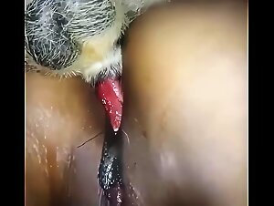 Intense bestiality: unleashed animal desire