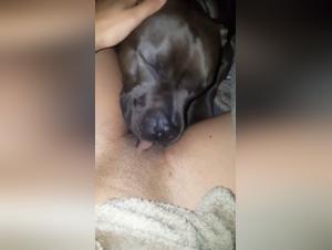Sodomized by her Dog, she seeks this wild animal contact