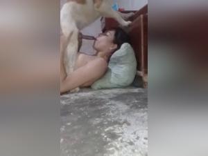 Shameless sluts: their insatiable need satisfied by dogs