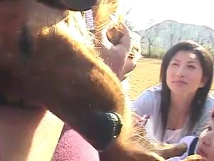 Explora los limites: besos de animales extremadamente deseados