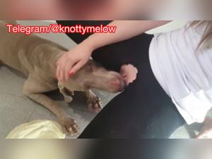 Unleashing Desires: Amateur Dog Blowjobs at Home