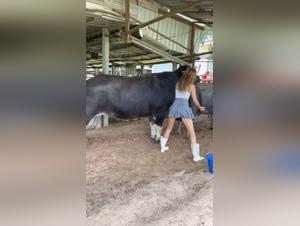 Go Beyond the Limits: Feminists Dominated by Their Bestial Desires