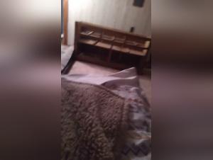 Rebel Borders: Exploring Taboo Desires with Animals