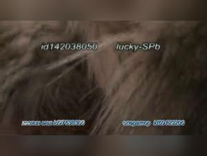 Dullys Girl will give in to canine temptation, a raw and captivating experience.