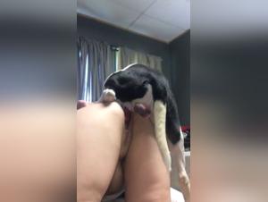 Session Sauvage: La Fougue d'une Femme et d'un Chien