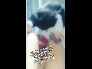 New Animal Sex Video: Homemade Dog Sex