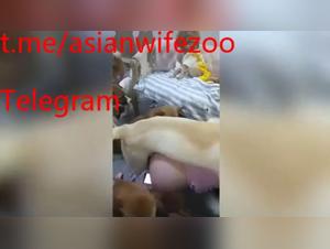 Slut and her dog: a wild and explicit love