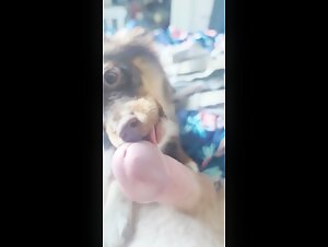Extreme Sex Video with an Animal