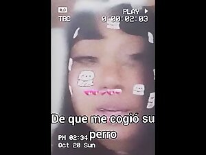 Argentine women and their low regard for four-legged sex