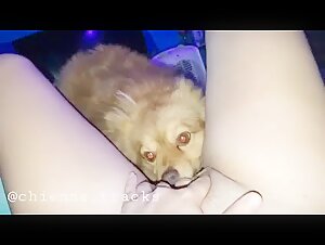 Bestiality Sex Video with a Dog