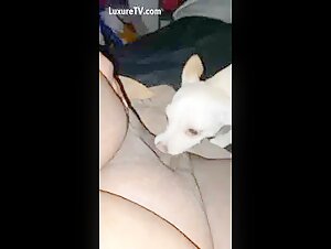 Forbidden Sex Scene: Man and Dog