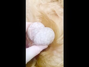 Explore the Ecstasy of Bestiality in this Amateur Video