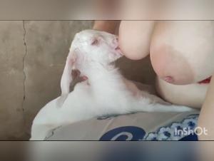 Heads Filled, Bodies Devoured: The Dog's Obsession