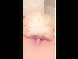 An intense bestiality experience