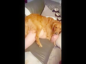 Video de sexo bestial: mira a esta mujer sumisa y su companero canino