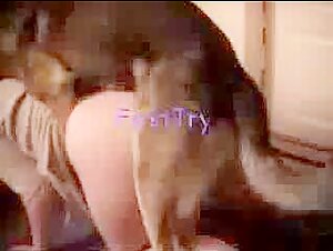 Woman and dog: an unexpected encounter