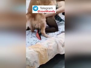 slut and her dog, a perverse union