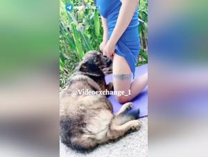 Guilt and animal enjoyment: Disturbing homemade vision