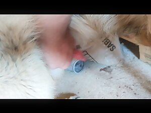 Sex Scenes with Hardcore and Extreme Dogs