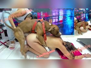 Discover Intense Erotica: Women & Dogs in a Kingdom of Sexual Delight