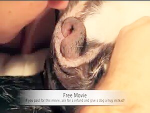 Check out this shocking dog sex video